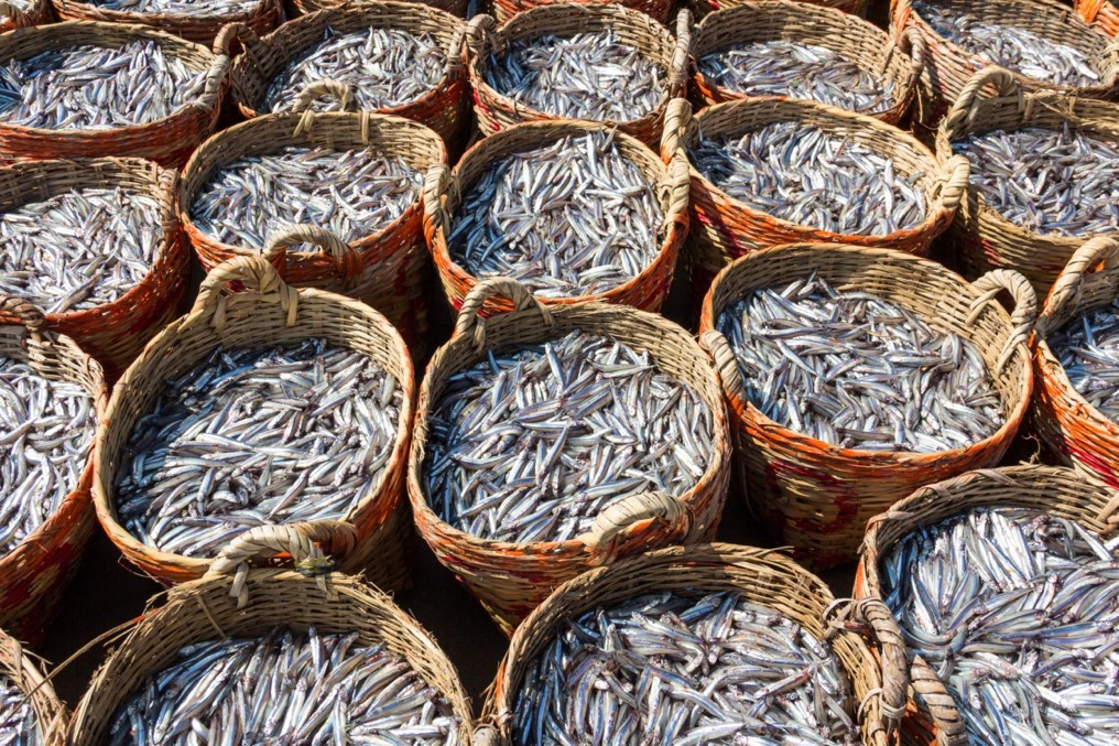 Phân Biệt Nước Mắm Và Nước Chấm Như Thế Nào?